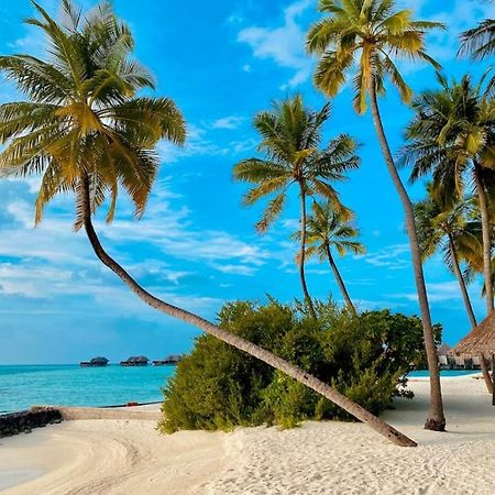 شقة Costa Nova Itagua أوباتوبا المظهر الخارجي الصورة