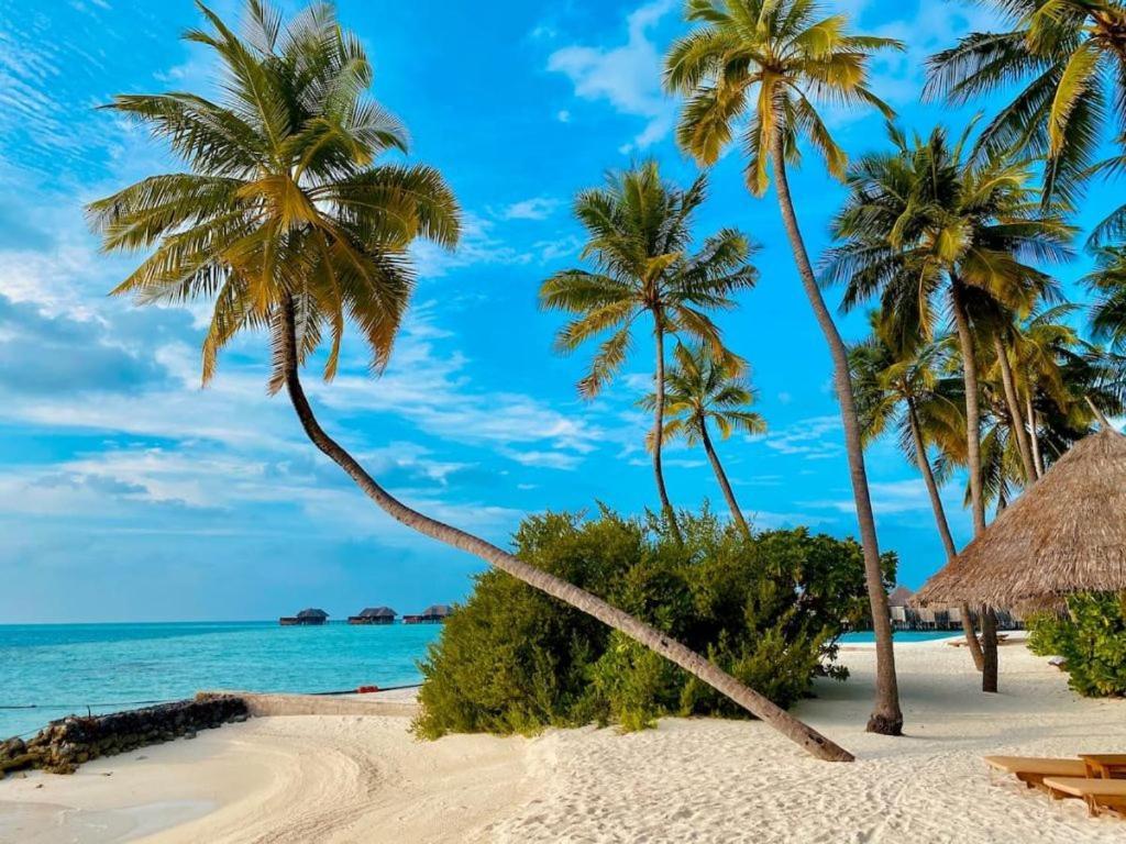 شقة Costa Nova Itagua أوباتوبا المظهر الخارجي الصورة